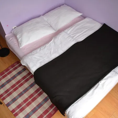 Bed & Breakfast Vila Mangart Bled